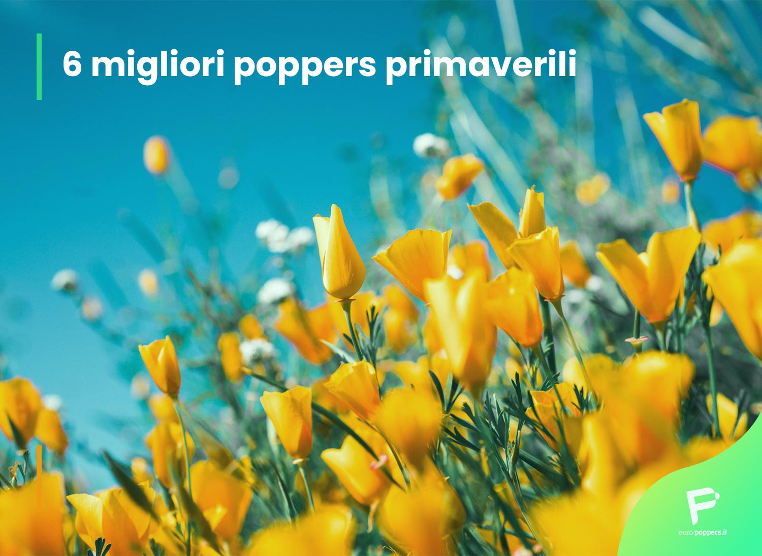 Scopri di più sull'articolo 6 migliori poppers primaverili