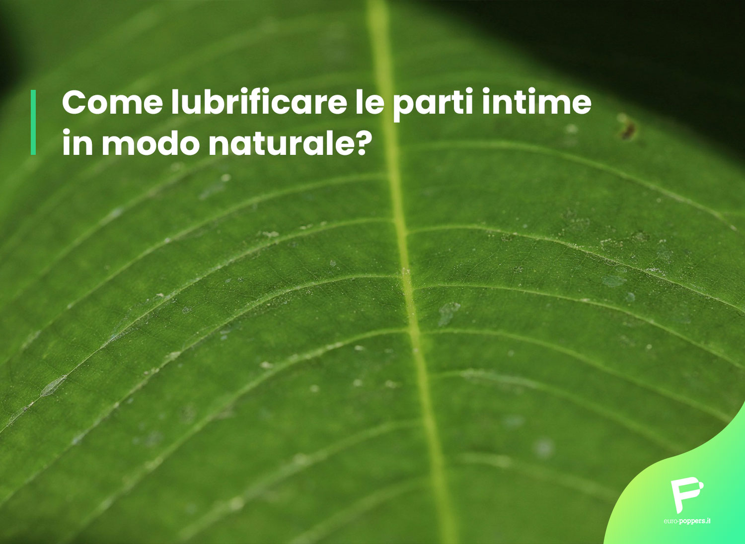 lubrificare parti intime mode naturale